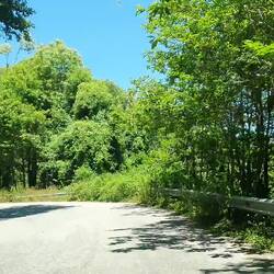 Die herrlichen Straßen Kalabriens