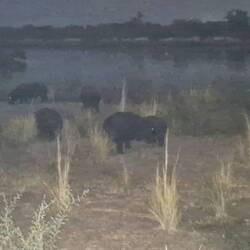 Direkt vor der Veranda
