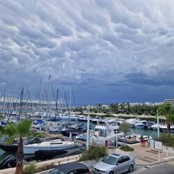 Der Hafen von Cannes