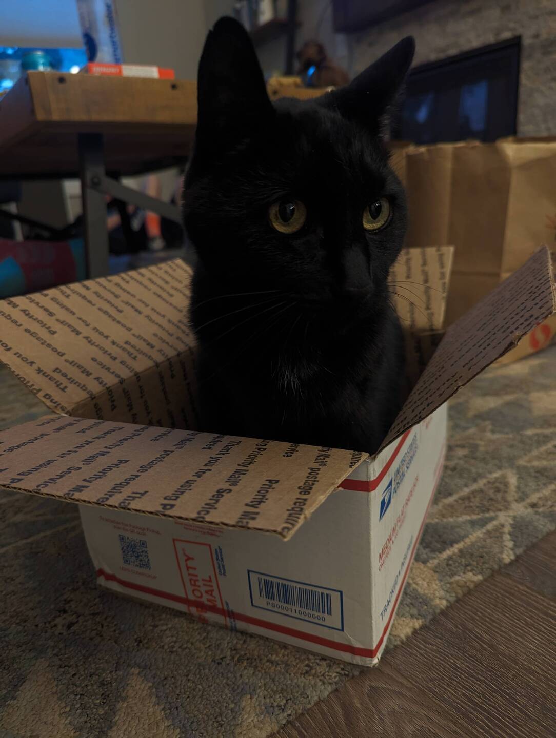 Gerald wanted to be a part of my resupply box