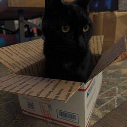 Gerald wanted to be a part of my resupply box