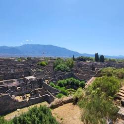 Views from the watch tower