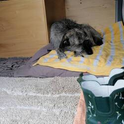 Alles frisch dann schläfts sich besser