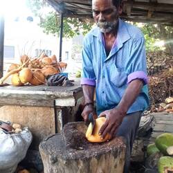 Die werden wir vermissen!