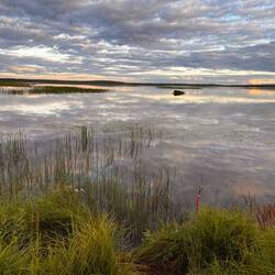 Spiegelungen im Wasser