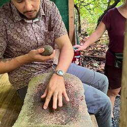 Der geröstete Kakao wird gemahlen