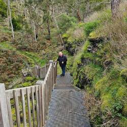 More steps for Phil