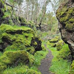 Path leading to Natural Bridge