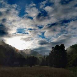 Misty morning mood in the Reichenbach Valley!