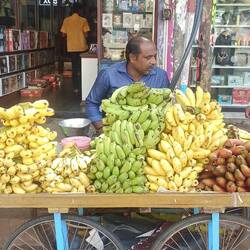 Auswahl an verschiedenen Bananen