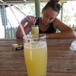 Les jus de sucre de cannes