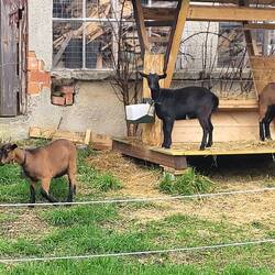 Mal was Niedliches zwischendurch 😀