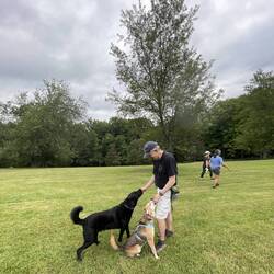 Howard and man's best friend