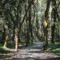 Magischer Zauberwald heute auch wieder zugeschlagen