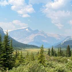 View from Sunwapta Pass