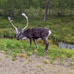 Fahren Sie auch auf dieser Straße?