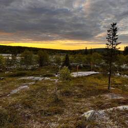 Spaziergang entlang der Schneemobilpisten