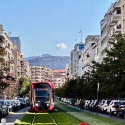 Schöner Rasen, über den die Straßenbahn fährt.