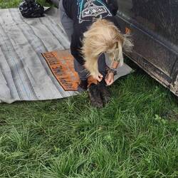 Fertig machen für den Acker 🤘