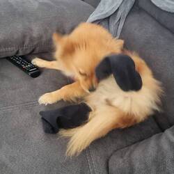 Socken für kalte Tage