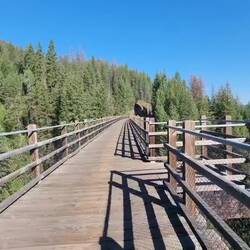 Listen to the loose and cracked boards