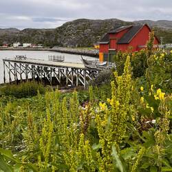 Fischerhäuschen in Bugøynes