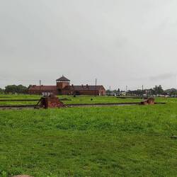 Des hectares de camps