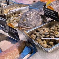 Wer kauft diese Fische, Muscheln und Krabben?