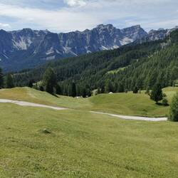 Fascinantno je, kako so vsi travniki pokošeni.