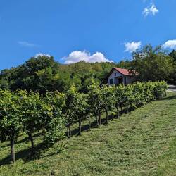 A typical and fairly traditional local home