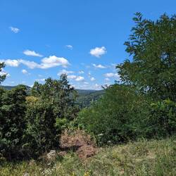 Gorgeous day to meander.