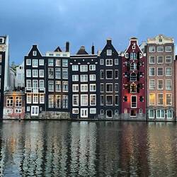 גולי אוהבת בניינים...