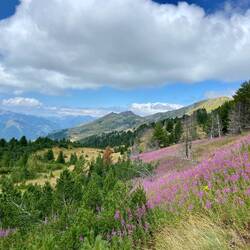 Was für ein Ausblick!