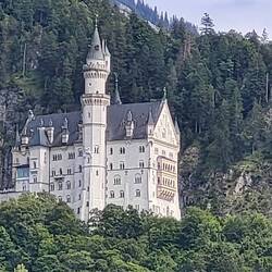 Neu Schwanstein zum Greifen nah