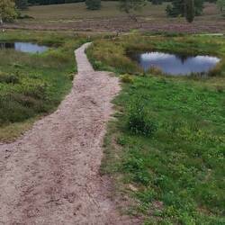 Gespenstisch: Seengesicht