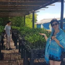 Reconversion en vue dans une pépinière de mangrove