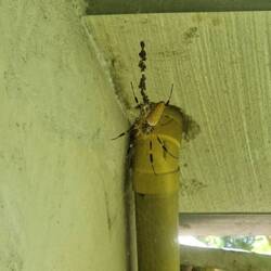 Braucht keiner - gibt's hier aber auch