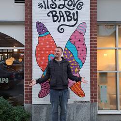 Diese Flügel gehören Henne.