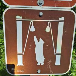 Die "Bärendusche" 🤭