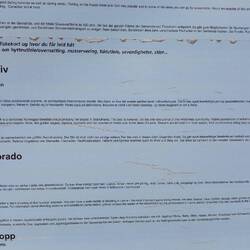 Looking out for creatures!