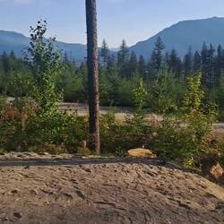 Sie sind oft sehr laut, geben Warnsignale.