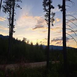 Unser eigenes Lichtspiel(h)aus-Blick