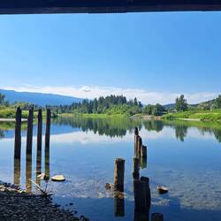 Er wird einfach nicht hässlicher.