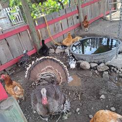 Die Chefin ist eingetroffen.