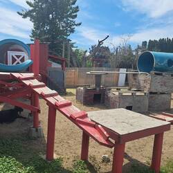 Spielplatz... für die Ziegen!