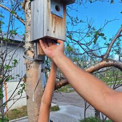 Auch ein Geocache musste sein