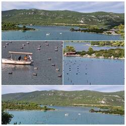 Miesmuschel-und Austernzucht