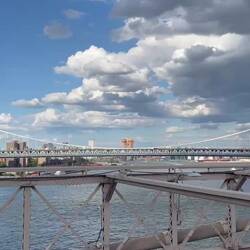 Die zauberhafte Brooklyn Bridge