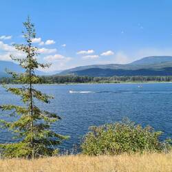 Der See