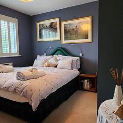 Lovely flowers welcoming us for a cat sit week